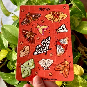 May include: A red sticker sheet featuring various moth illustrations. The sticker sheet has the word "Moths" at the top and includes a variety of colorful moth designs, including brown, white, and yellow moths. The sticker sheet also has small star designs.