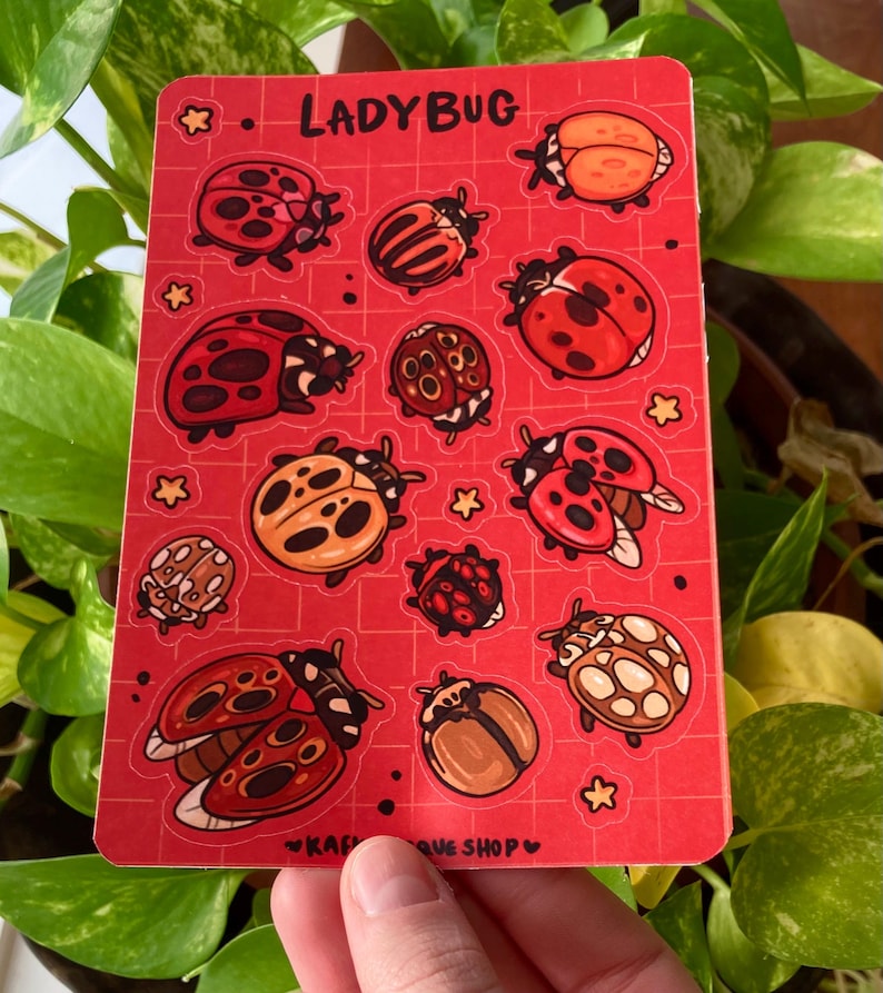 May include: A red sticker sheet featuring various ladybug illustrations in red, orange, and brown. The word "LADYBUG" is printed at the top, with the shop name at the bottom. The ladybugs have different patterns and poses.