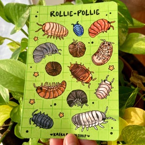 May include: A green sticker sheet featuring various illustrations of rollie-pollies, also known as pill bugs, in shades of brown, gray, and blue. The text "ROLLIE-POLLIE" is at the top, with the shop name "KAFKA SHOP" at the bottom.