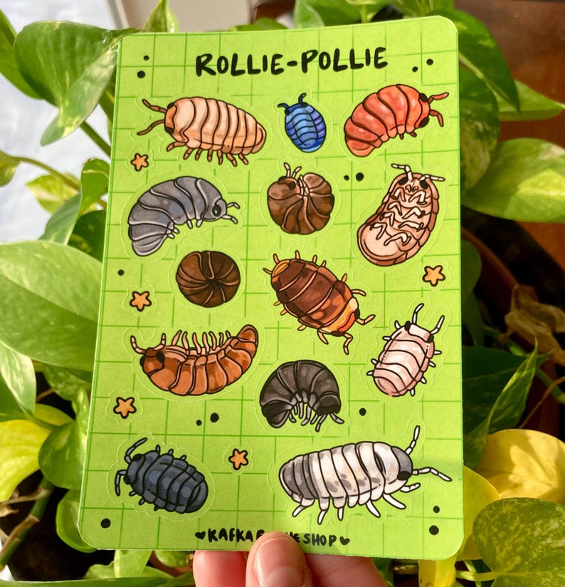 May include: A green sticker sheet featuring various illustrations of rollie-pollies, also known as pill bugs, in shades of brown, gray, and blue. The text "ROLLIE-POLLIE" is at the top, with the shop name "KAFKA SHOP" at the bottom.