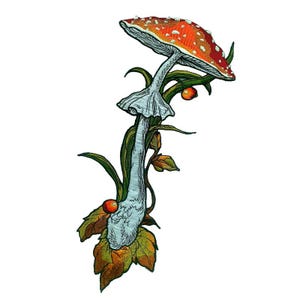 May include: Embroidered patch depicting a detailed illustration of a red and white spotted mushroom. The mushroom is surrounded by green leaves, berries, and vines, with a light blue stem. The patch is designed with intricate stitching.