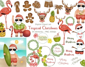 Tropical Christmas Digital Clipart. Funny Santa Clipart. Flamingos. Summer Christmas. PNG elements. Personal and commercial use.