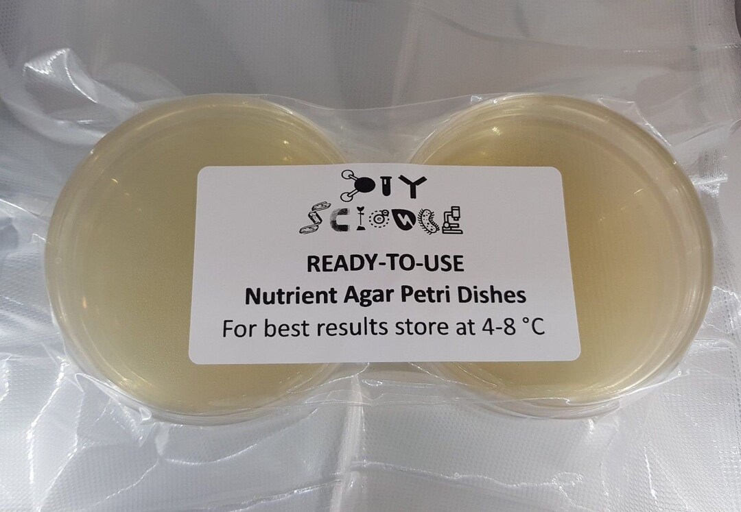 Nutrient Agar Petri Dishes X6 sterile, Vacuum Sealed & Readytouse