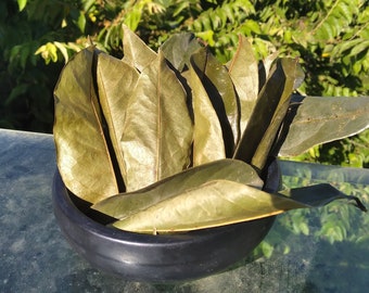 Soursop, 10 Dried Leaves, Guanabana 100% Natural