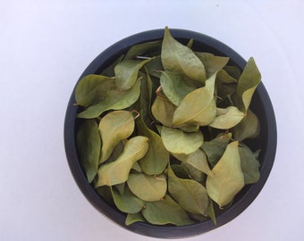 100 Dried Surinam Cherry Leaves Pitanga  100% natural, Delicious hot or cold, Breakfast tea, Tea lovers, Try something different !