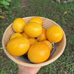 20 Passion Fruit Seeds: Passiflora Maracuya, 100% Natural