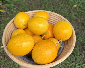 Yellow Passion Fruit 20 Seeds Passiflora Maracuya, 100% Natural