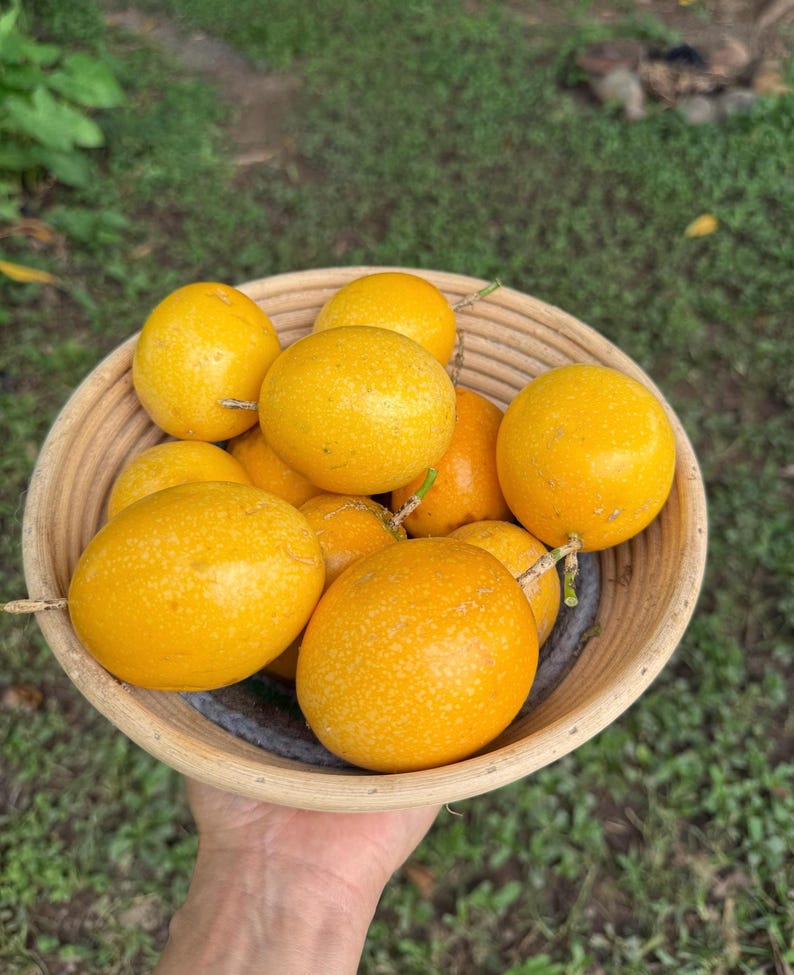 Yellow Passion Fruit 20 Seeds Passiflora Maracuya, 100% Natural Bild 1
