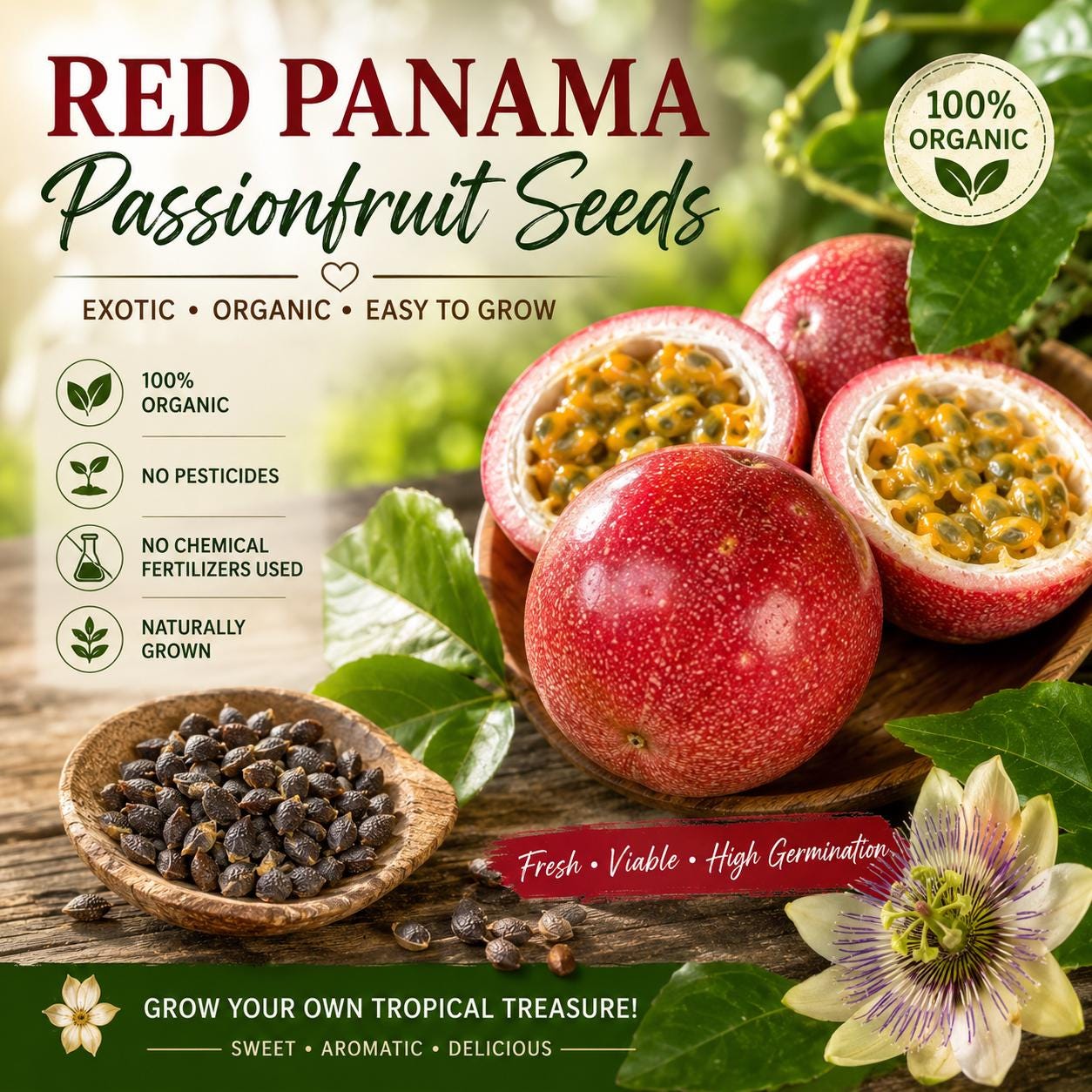 10 Panama Red Passion Fruit Seeds: Rare Tropical Maracuya - Etsy