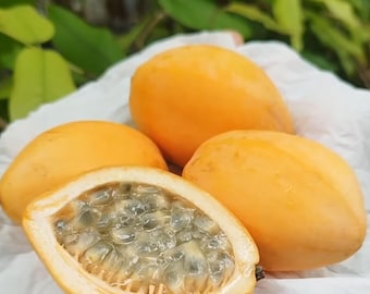 10 Jamaican Lilikoi Seeds: Golden Passionfruit, Tropical Vine