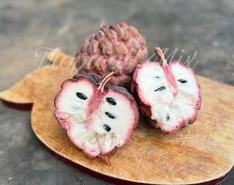 10 Red Custard Apple Seeds, Exotic Tropical Fruit