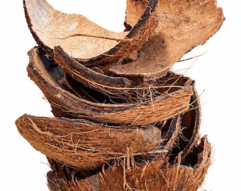 Dried Coconut Shell Pieces, Natural Tropical Crafts, Rustic DIY Materials (250g)