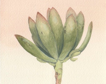 Print, Green Succulent Watercolor