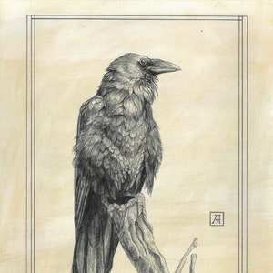 Perched Crow Print, 8x10