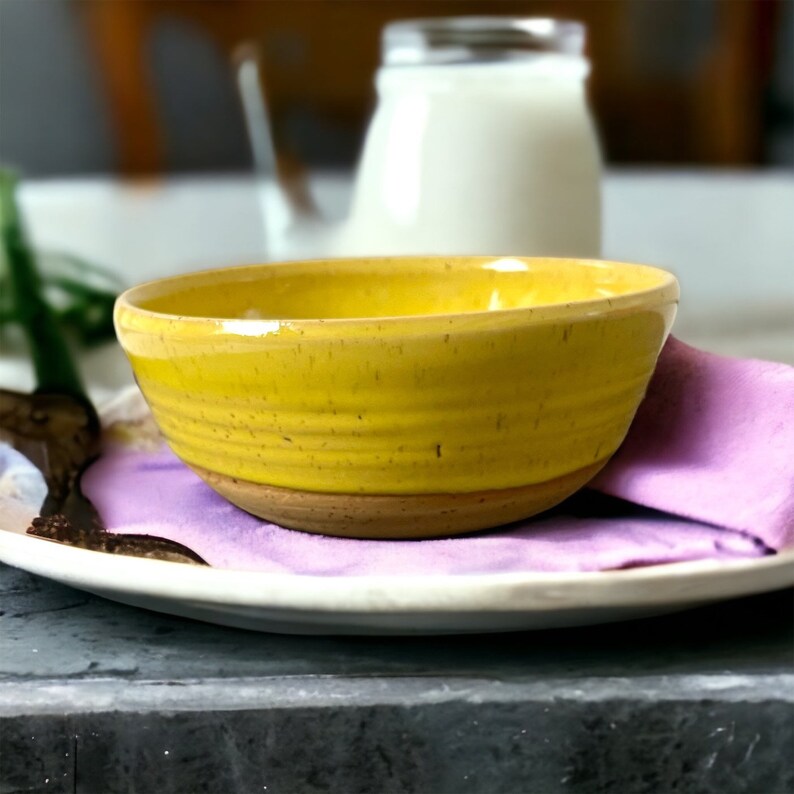 Dinnerware 3 pieces pottery set ,ceramic pitcher, stoneware plate, speckled pottery bowl image 6