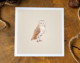 Barn Owl Art Print - ‘Sir Barnabas’ the Owl, Nursery Art, Children’s Illustration, Children’s Books, Giclee Mini Print, woodland birds