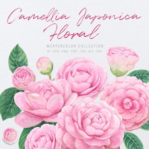 Watercolor Camellia,Camellia Clipart,Watercolor Clipart,Watercolor Flowers,Camellia PNG,Floral Clipart,Camellia Flower,Watercolor Flower
