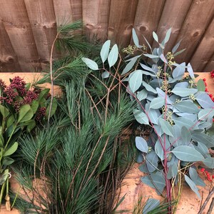 May include: A collection of fresh botanical stems including dark green skimmia with maroon buds, long needle pine branches, silver-green eucalyptus foliage with small buds, and a single branch featuring bright red berries arranged in a row.
