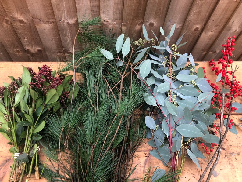 May include: A collection of fresh botanical stems including dark green skimmia with maroon buds, long needle pine branches, silver-green eucalyptus foliage with small buds, and a single branch featuring bright red berries arranged in a row.