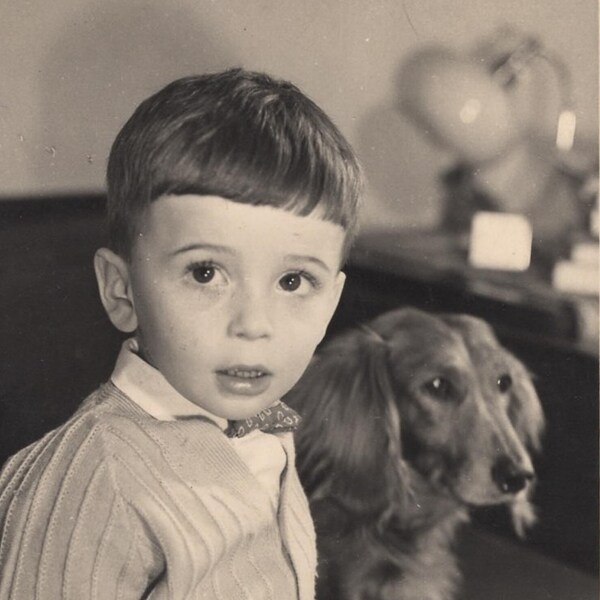 Charming boy and dog, Vintage photo