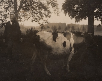 Man with cow, Vintage art photo