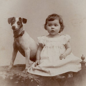Bambina con cane, Foto di mobile antico, CdV