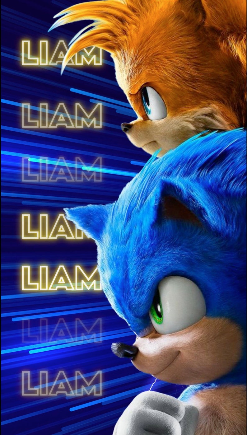 SONIC INVITATION, sonic birthday party invitation, sonic birthday party video invitation, sonic digital invitation, sonic 2, the hedgehog image 2