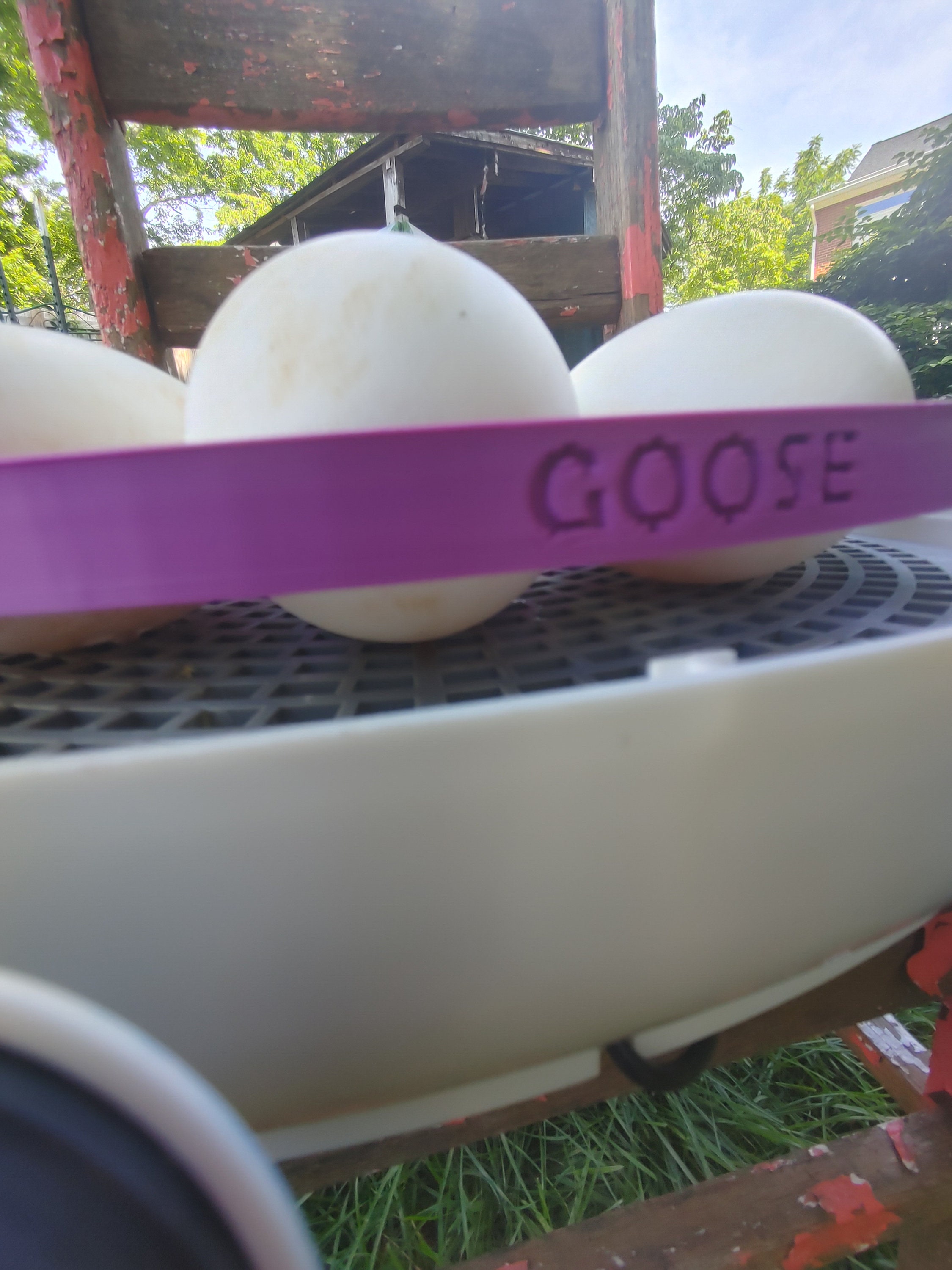 Goose Turner Tray Compatible the With Nurture Right 360 Etsy