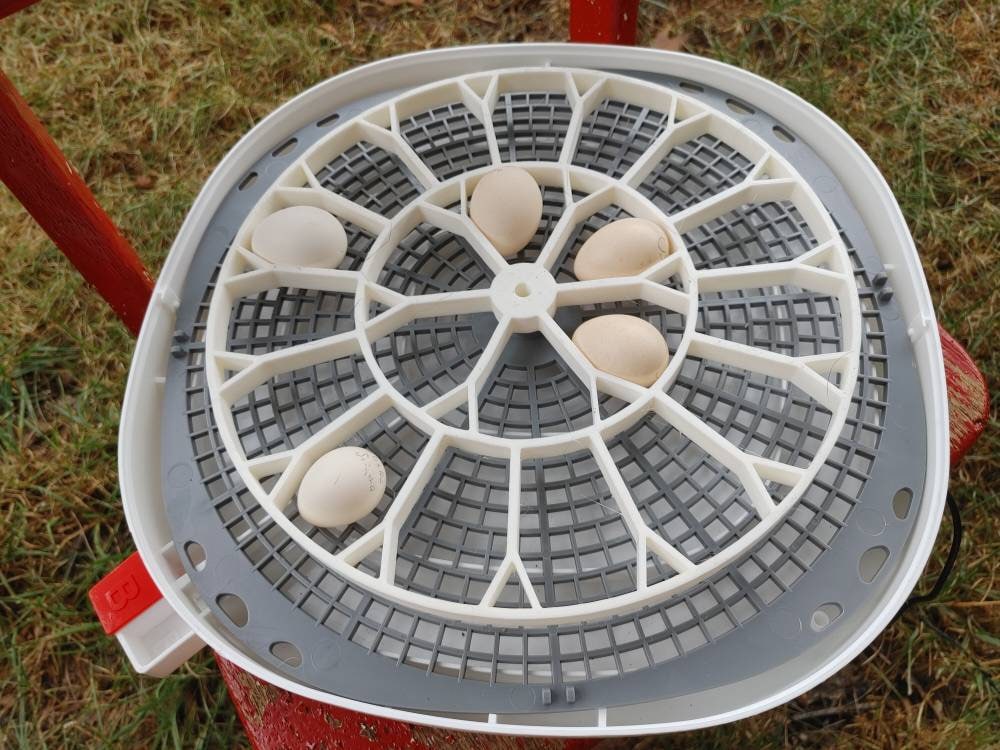 Nurture Right 360 Incubator Quail Egg Turner