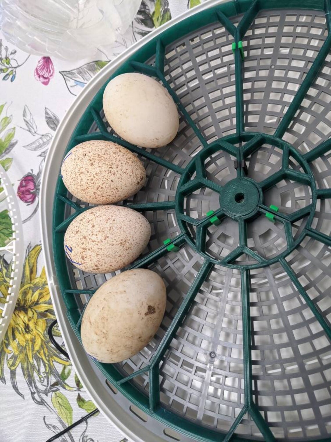 Nurture Right 360 Duck Egg Turner Tray Etsy