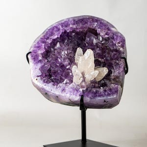 May include: A large, polished amethyst geode with a deep purple interior, mounted on a black metal stand. The geode's cavity is filled with sparkling crystal formations, and a cluster of clear quartz crystals sits in the center.