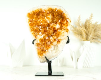 Natural Rich Orange Citrine Cluster with Orange Citrine Druzy and Flower Rosettes on Stand - 12.2 In - 12.9 Lb