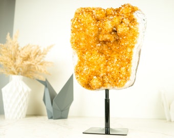 Golden Yellow Galaxy Citrine Cluster with Flower Rosettes (Stalactite) - 5.7 Kg - 12.5 lb