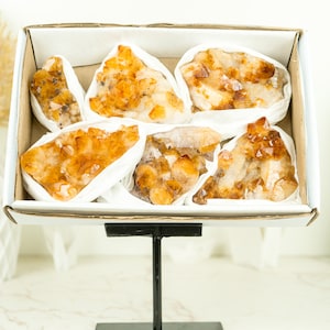 Citrine Druzy Crystal Cluster Wholesale Lot, Natural Flat Healing Crystals & Stones