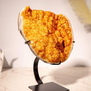 Beautiful Orange Citrine Cluster with Orange Galaxy Citrine Druzy and Stalactite Flowers on Stand - 7.1 Kg - 16 lb