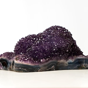 Puede incluir: Una gran geoda de amatista con un interior cristalino de color púrpura intenso. La base de la geoda presenta bandas de ágata gris y negra. Los cristales brillan sobre un fondo blanco.