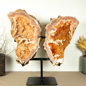 Fantastic Pink Amethyst Angel Wings Geode, X-Large Pink Amethyst Butterfly, Natural, Untreated, Ethical 21.3 Kg 47 lb image 1