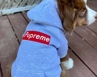 american bully apparel