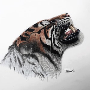 虎の絵、オリジナルの色鉛筆アートワーク、野生動物アート 虎の絵、オリジナルの色鉛筆アートワーク、野生動物アート