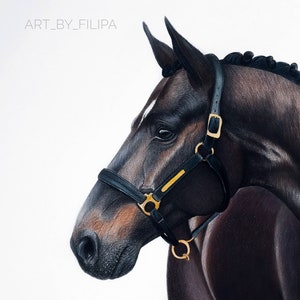 Original drawing of horse