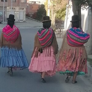 Bolivian Aguayo "Pacheco", thick woven textile intended for baby carrying, Indigenous art image 10