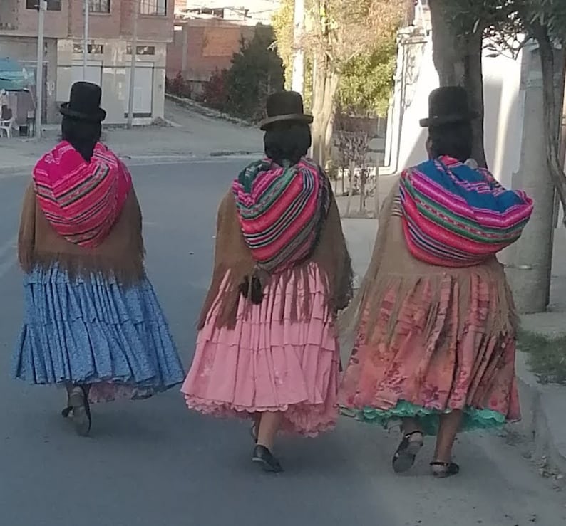 Bolivian Aguayo "Pacheco", thick woven textile intended for baby carrying, Indigenous art image 10