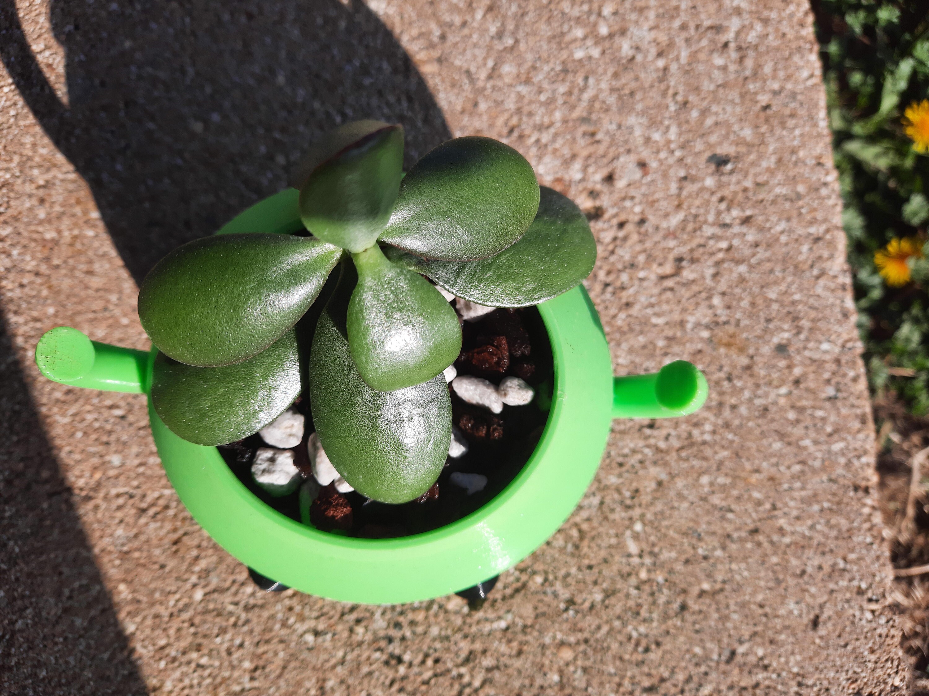 Junimo Planter Pot from Stardew Valley Etsy UK