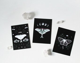 Dark Academia Moth & Butterfly Illustration | Botanical Gothic Bug Insect Oddity Art Print