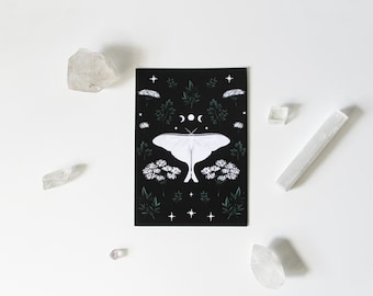 Botanical Luna Moth Illustration Dark Academia Butterfly | Gothic Plant Bug Insect Oddity Art Print