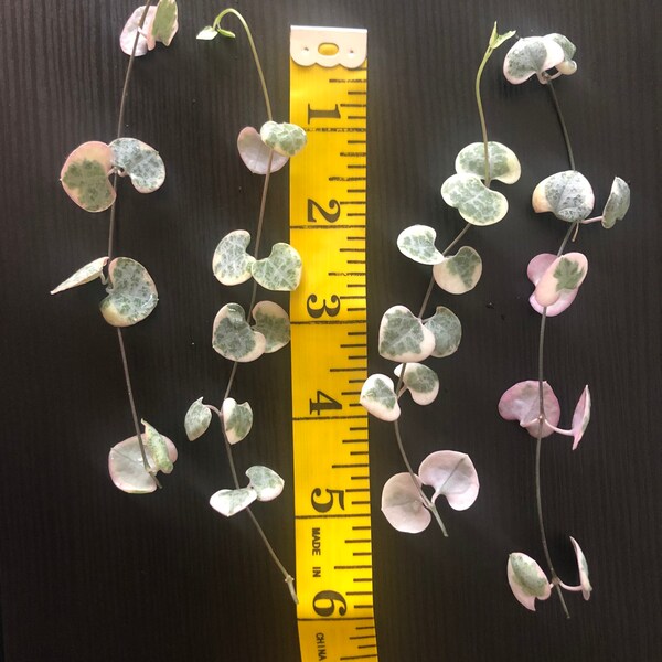 String of Hearts Etsy