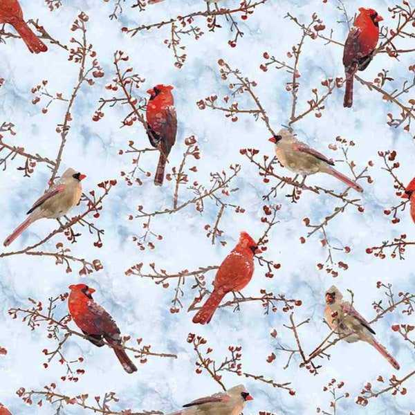 Red Cardinals In Winter Fabric | Thomas Little Winter Woods | Timeless Treasures Fabric CD1217 - Blue |  TT Fabric By The Yard