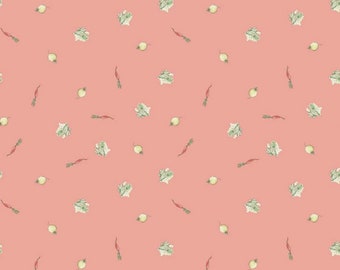 The Tale of Peter Rabbit - Veggie Toss - Coral - Riley Blake Designs