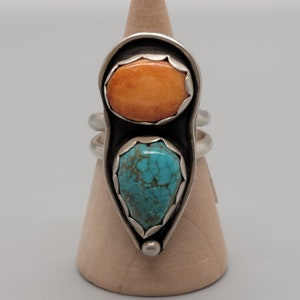 Turquoise and Spiny Oyster-ringmaat 6