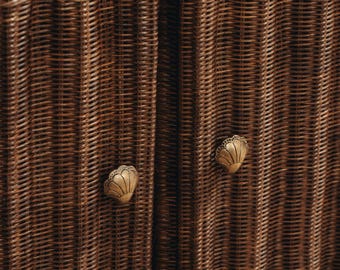 Brass Chunky Shell Knob